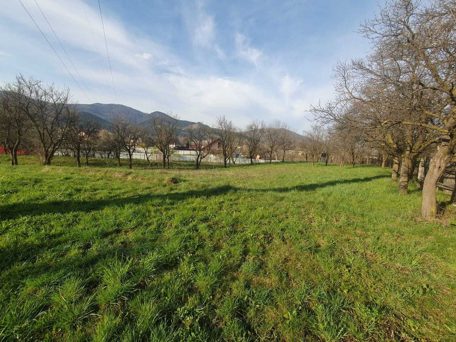 Teren(grădină) în Viișoara cu suprafața de 1800 m²
