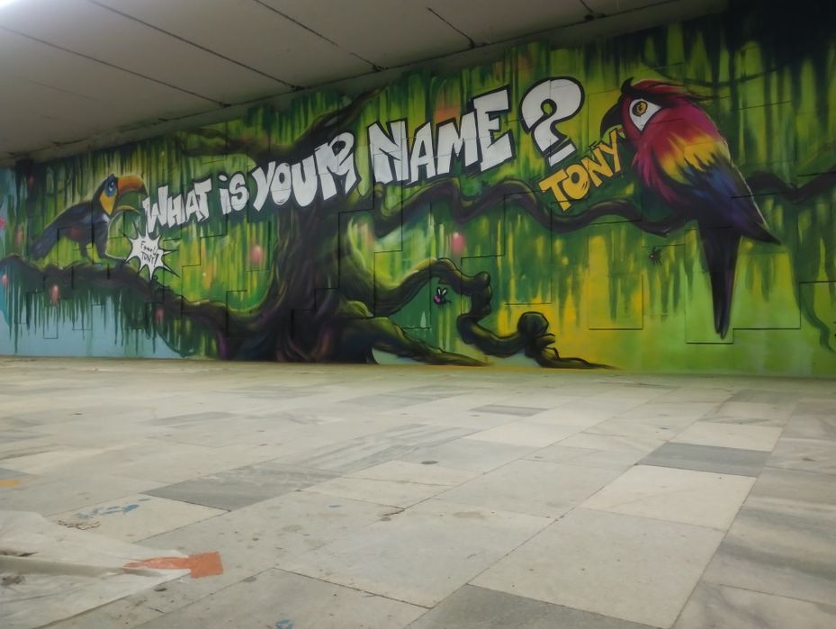 Рисуване на стени по поръчка