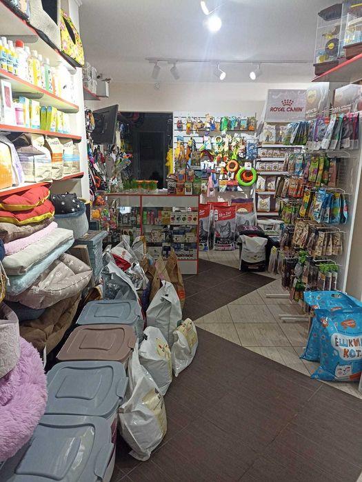 Зоомагазин помещение