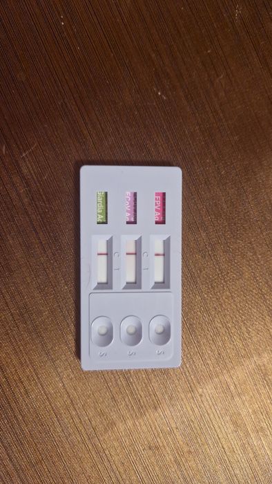 Мъжко коте търси своя дом