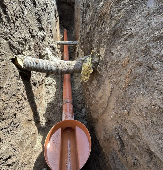 Debarasez curti case beciuri