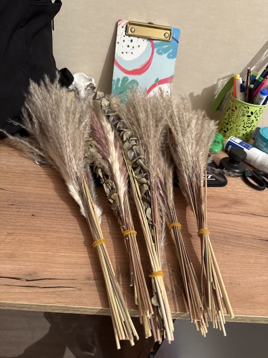 Сухоцветы, для декора!