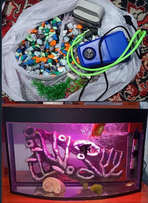 Аквариум срочно сотилади