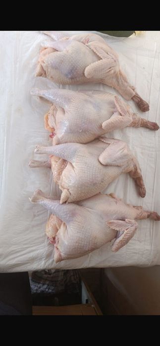 Домашние куриные тушки