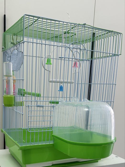 Продам попугай с клеткой!