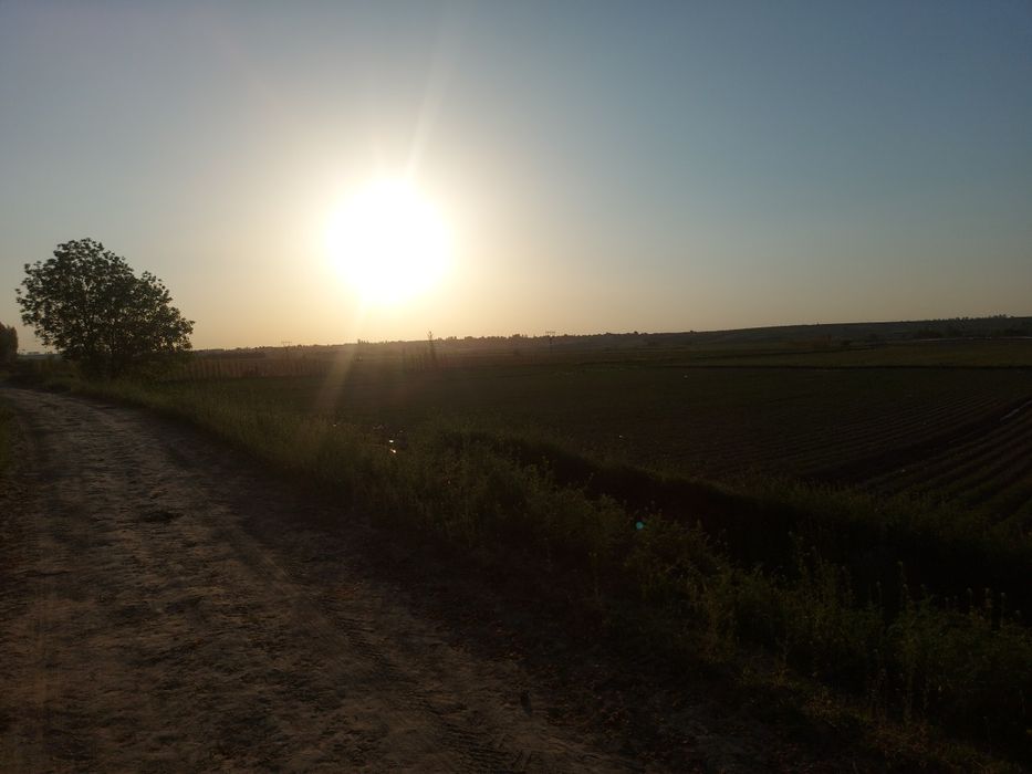 Уй сотилади, катта участка, ховли.