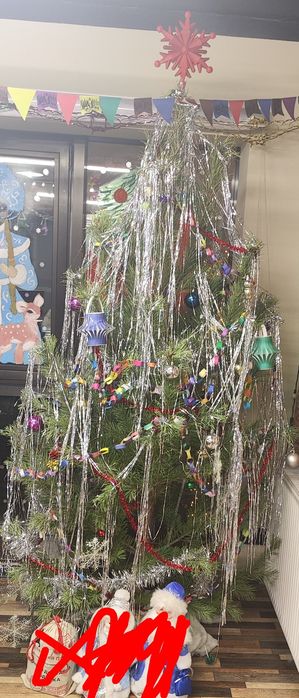 Продам сосну в отличном состоянии.