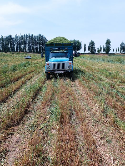 Расхоти йук малумотлар телда