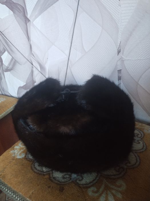 Зимняя мужская ушанка