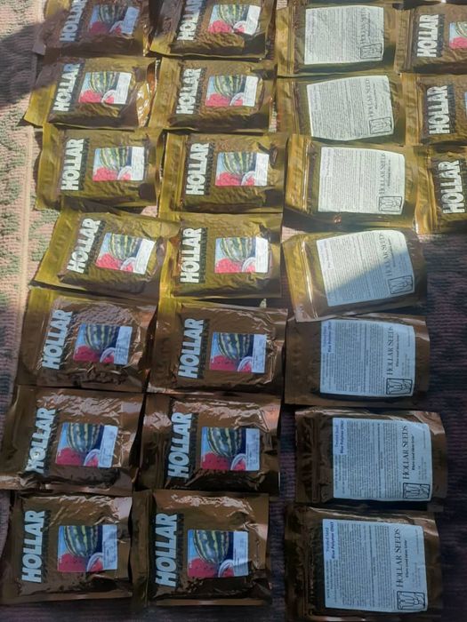 Тарвуз уруг сотилади HOLLAR