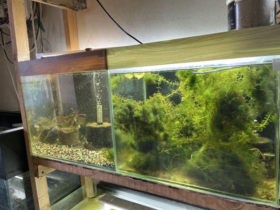 Аквариум 35 литров