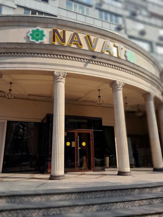 Ремонт плиты духовок фритюрницы