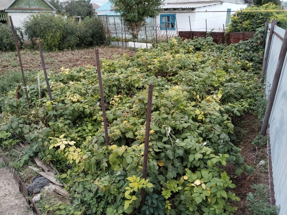 Продам дачный участок