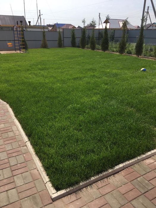 Зеленый сочный газон под ключ