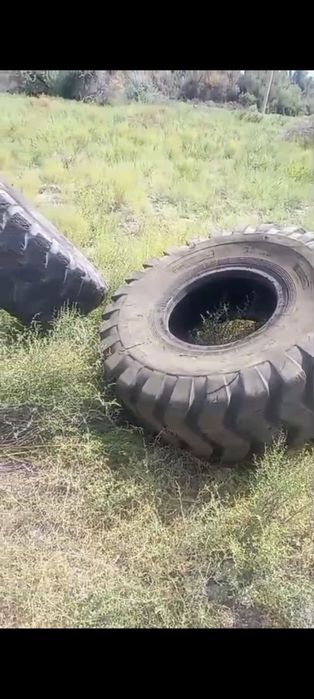 Бу Балон бар сатылатын