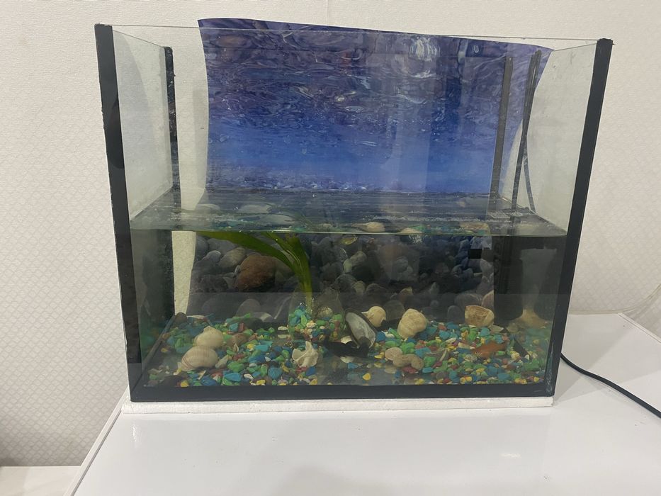 Продам  аквариум в хорошем состояние