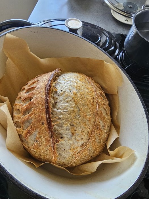 Maia pentru pâine de casă