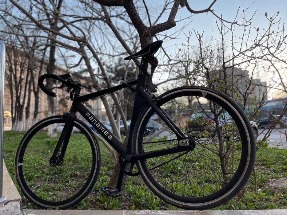 Bicicleta Panamea