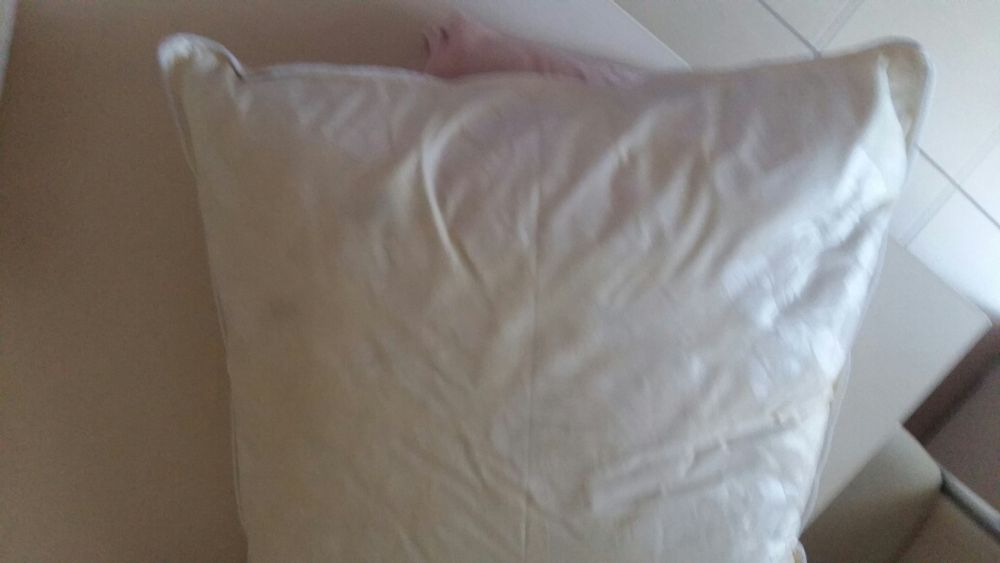 Pernițe puf gasca noi