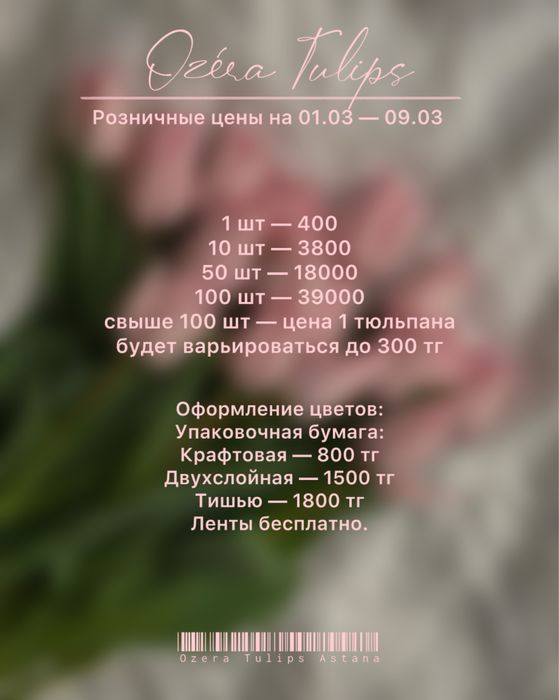 Нежные голландские тюльпаны