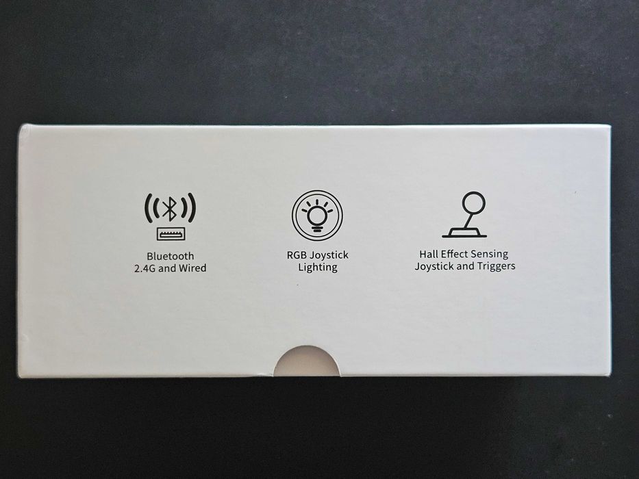 Controller Anbernic RG P01