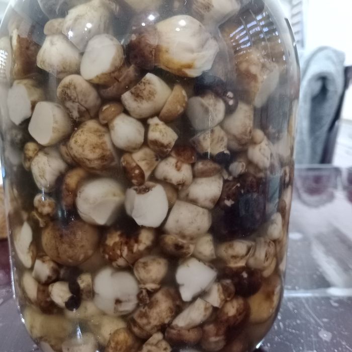 Продам валуи грузди