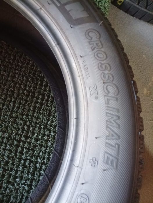 195 55 16 Michelin și Goodyear m+s