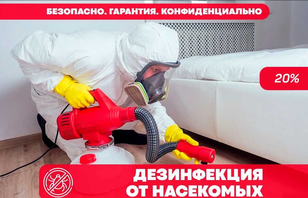 Чивин пашша илон кана клоп клапа чимоли ари сичкон каламуш Дезинфекция