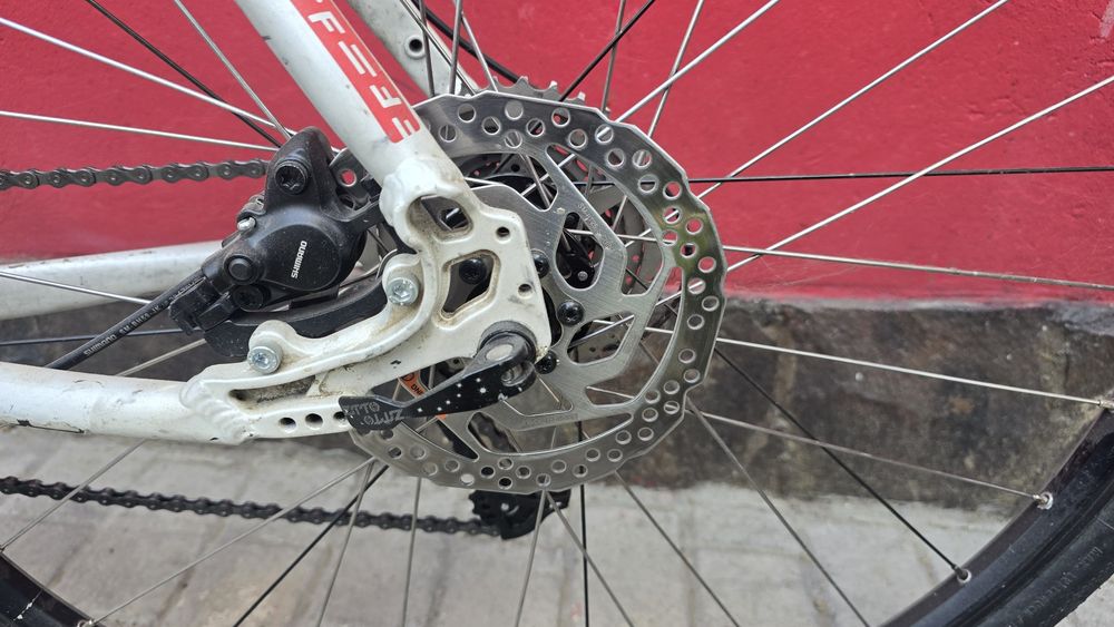 Bicicleta Focus Black Rider Roti  29"
