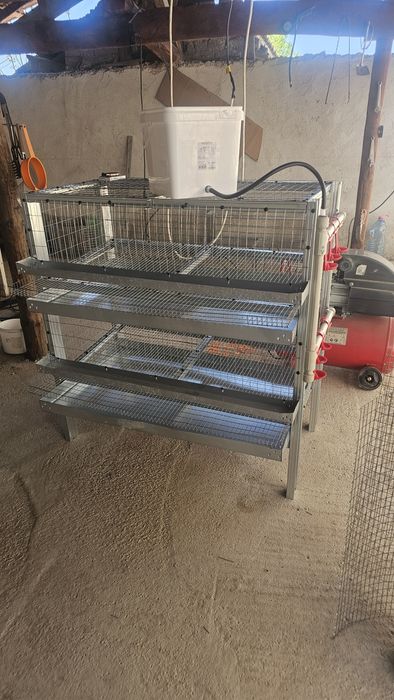 Клетки за Пъдпъдъци