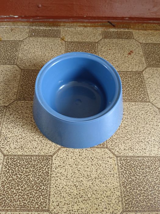 Продам всё для кошек