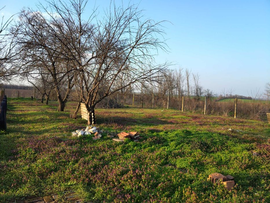 Продава се Къща в с. Срацимир, Област Силистра - 60 кв.м за 196 €/кв.м - Снимка #4