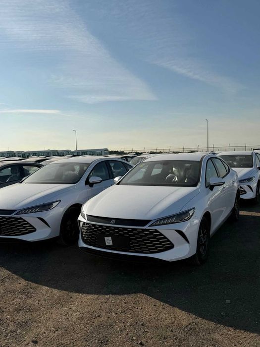 BYD Qin Plus 2025 — 2