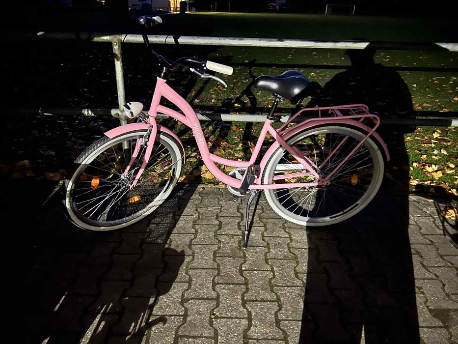 Biciclete de canzare