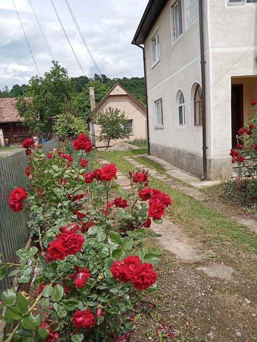 Casă de vânzare la drumul principal cu teren inclus - posibilitate investiție