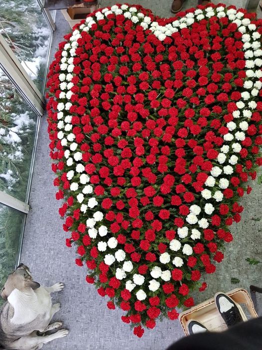 Coroane pret accesibil