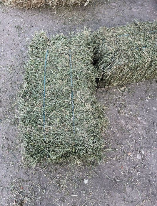 Vând baloți de fân amestecat cu lucernă