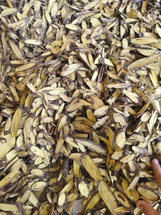 Qizilmiya  / Кизилмия / Солодка / Solodka