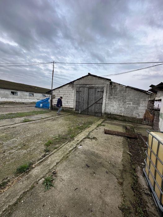 Grajd fostă fermă în Stelnica (IL)