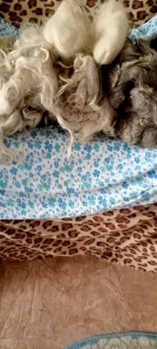 Продам шерсть ангора