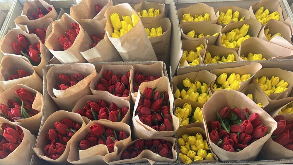 Тюлпаны по выгдной цене