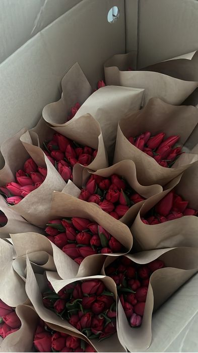 Тюльпаны оптом 300 тг