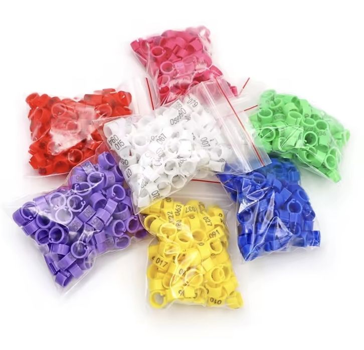 Inele porumbei/ păsări