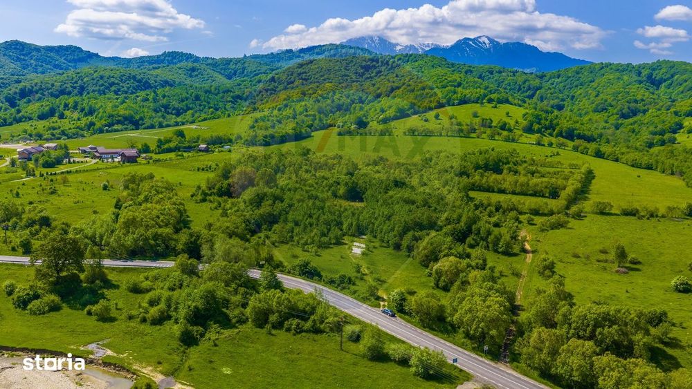 Teren 1ha Valea Glăjeriei - Rasnov | Comision 0%
