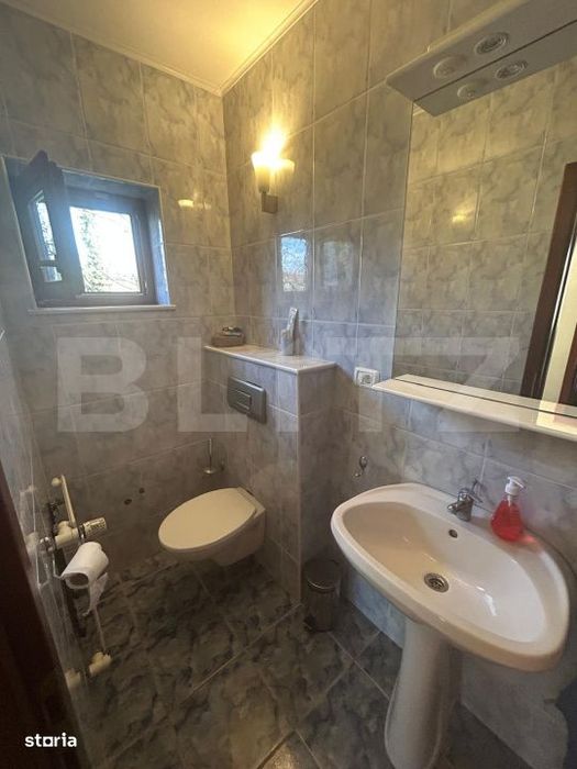 Vila Remetea Mare 380mp utili, 3982 mp teren