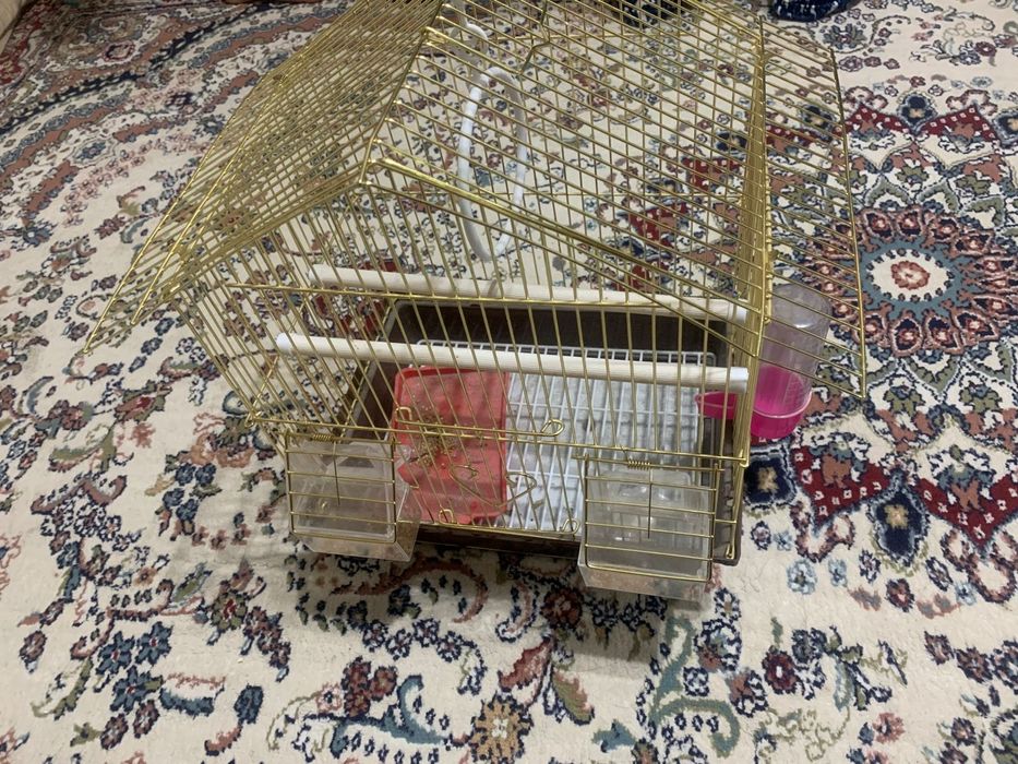 Клетка для попугая