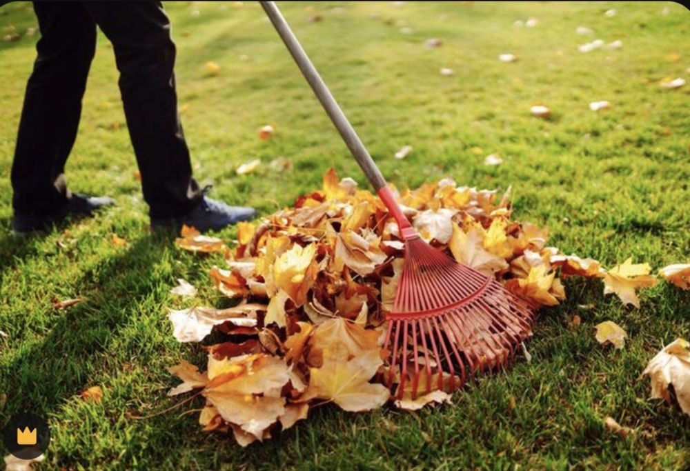 Грузчики/демонтаж/газель