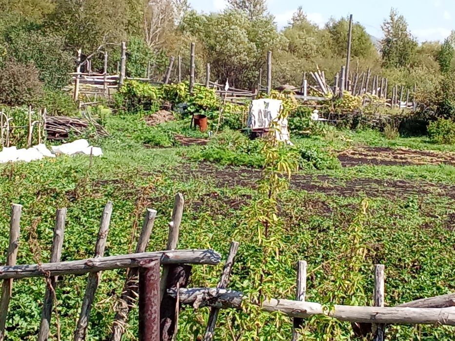 Продается дачный участок