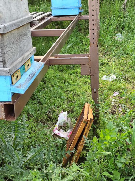 Пчеларска платформа