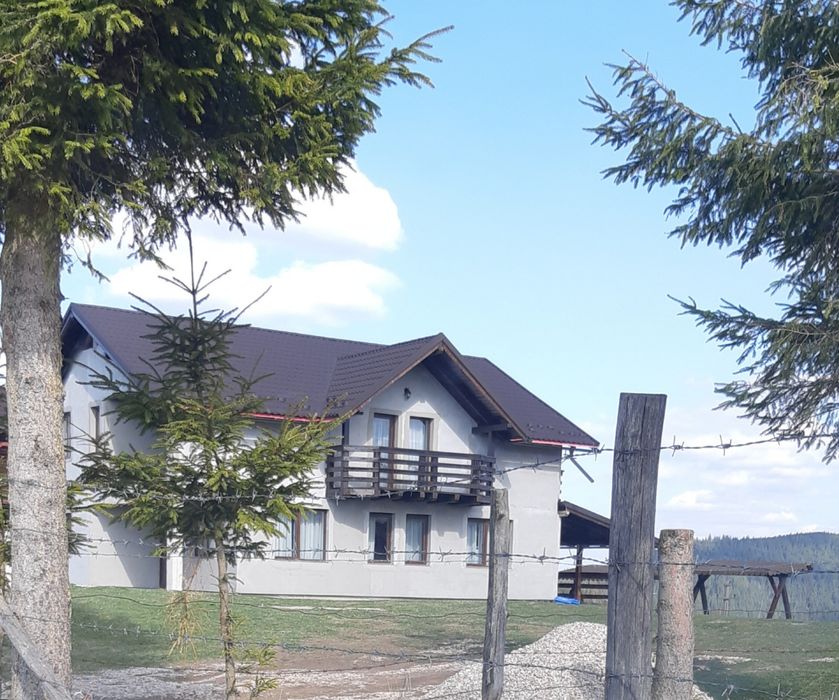 Cabana zona Belis (cu ciubar) Rezervata de Craciun si Revelion